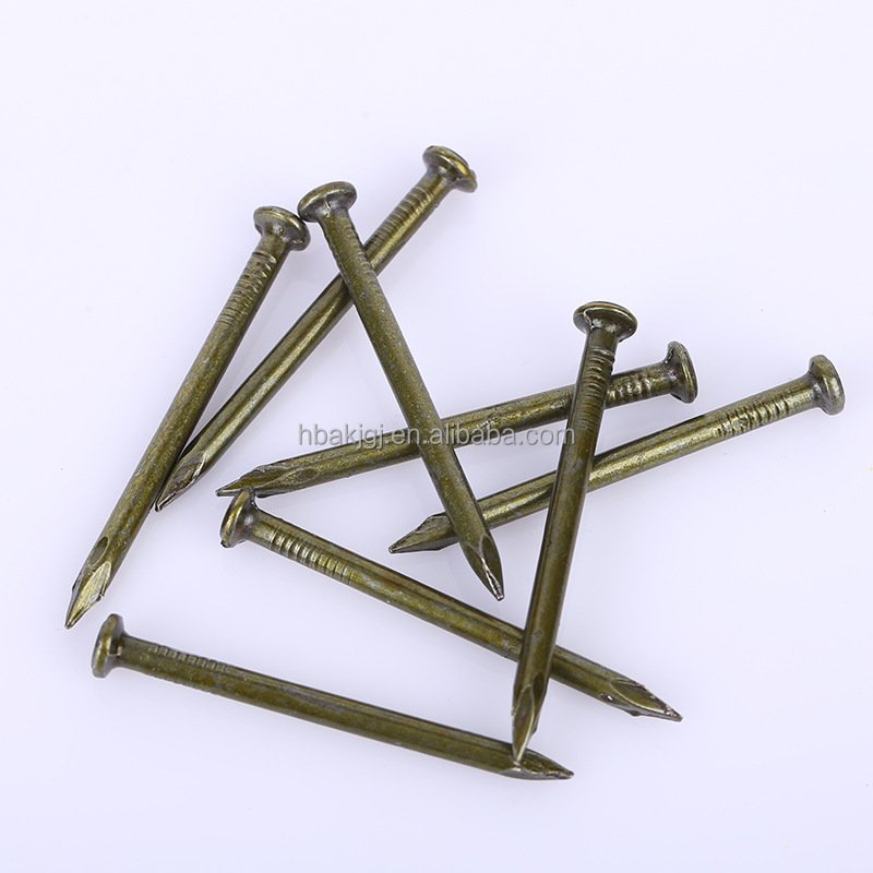 High Quality 19mm Steel Roofing Nail Smooth Shank Type with PE Material Direct Sale From China Manufacturer 1Kg Price Per Kg